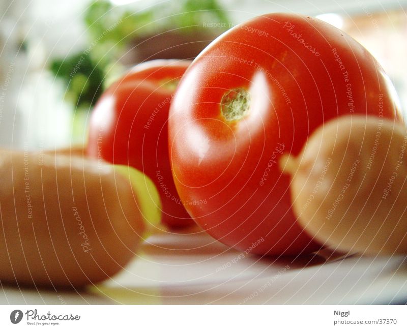 Tomaten un Würschd rot Würstchen Ernährung Lebensmittel Gemüse Makroaufnahme niggl