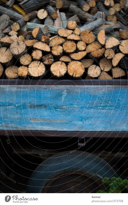 Holz auf Holz Anhänger Wagen Reifen Brennholz viele blau aufgeschichtet Stapel Holzstapel Farbfoto Gedeckte Farben Außenaufnahme Nahaufnahme Menschenleer Tag