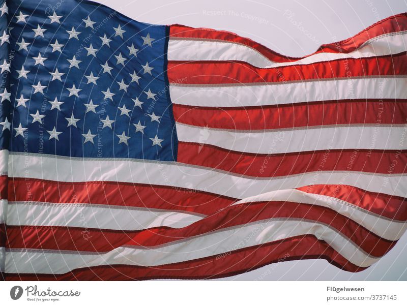 Great Again Amerika USA Amerikanisch Amerikaner Vereinte Nationen Flagge Fahne Trump Wahl Sterne Stars and Stripes