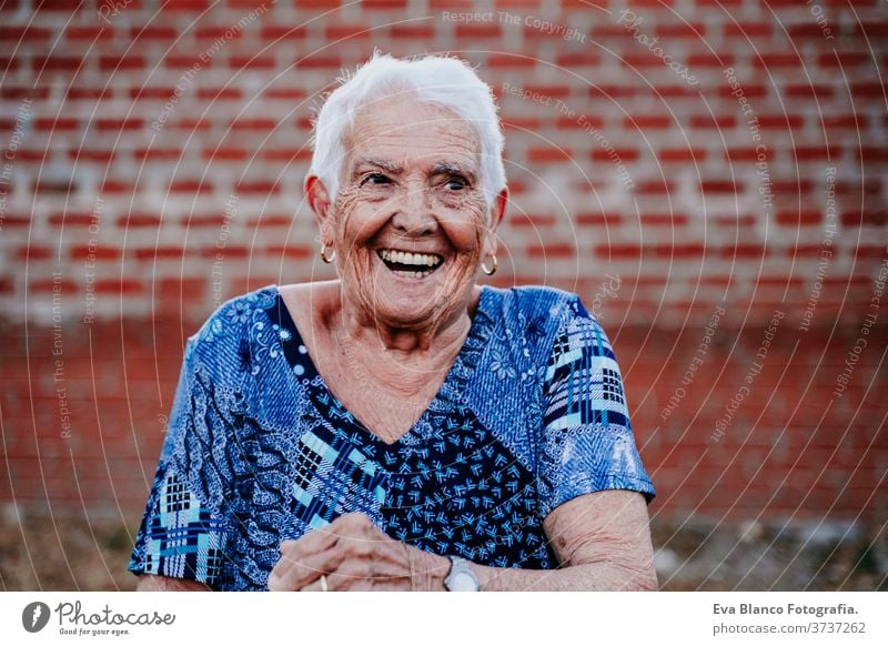 Porträt einer alten Dame in den 80ern, die fröhlich lacht Glück Lachen Lächeln Freude Frau älter heimwärts weiße Haare graue Haare mental Großmutter