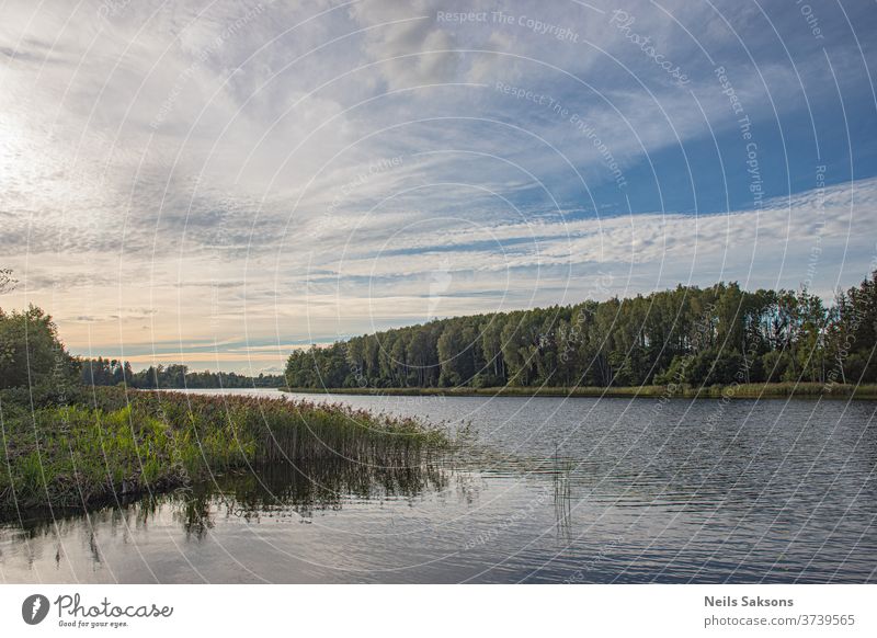 See im Wald am leicht bewölkten Nachmittag / Lettische Landschaft Wasser Himmel Natur Fluss Reflexion & Spiegelung blau Wolken Sommer Bäume Cloud Teich