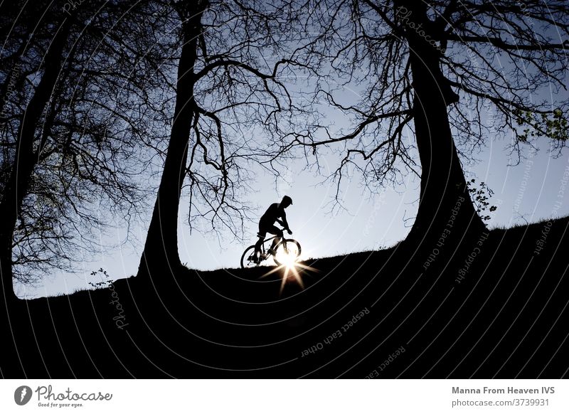Ein Mann radelt im Sonnenuntergang auf der Spitze eines Hügels im Wald. Dunkle, nackte Bäume und abendlich blauer Himmel. Radfahren Hobby Wälder Natur Winter