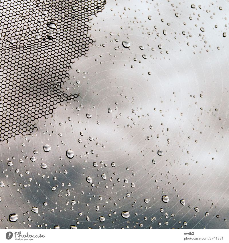 Getröpfel Fenster Fensterscheibe Gaze Fliegengitter Glas Kunststoff Regentropfen Wassertropfen viel klein nah winzig flattern alt abgenutzt zerfetzt schadhaft