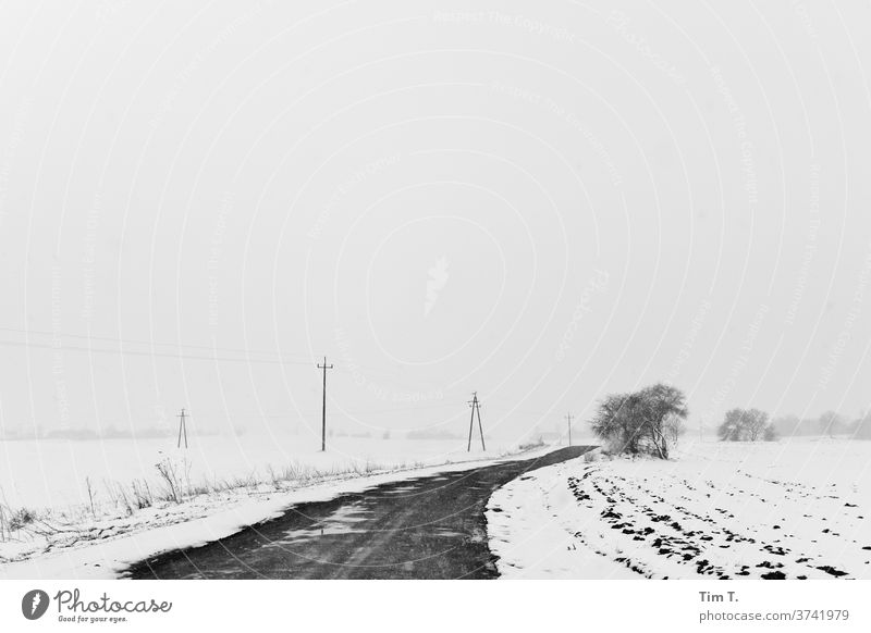 Winterstraße in Polen polska Straßenverkehr Schnee Außenaufnahme Menschenleer Verkehrswege Frost Tag kalt Autofahren Eis Wege & Pfade Natur schlechtes Wetter