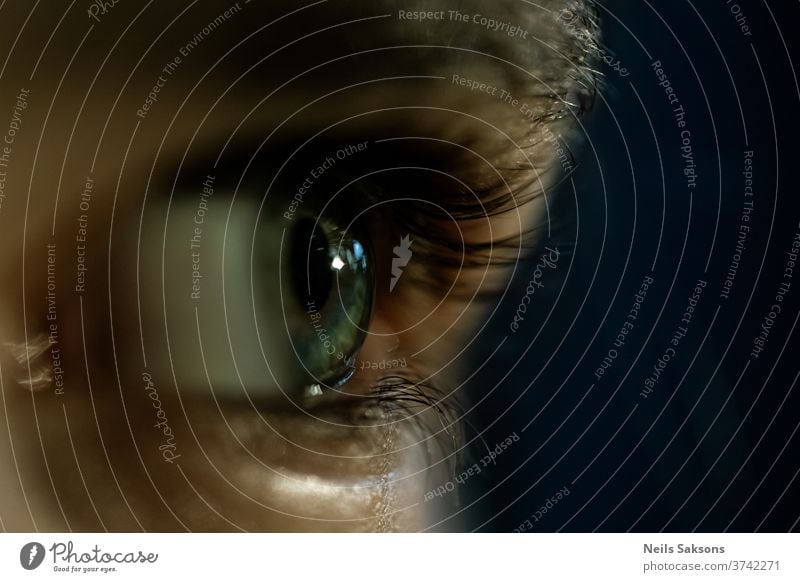 Nahaufnahme eines menschlichen Auges Wimpern menschliches Auge Mensch Blick Pupille Regenbogenhaut Augenbraue Gesicht Makroaufnahme Haut Sehvermögen blau