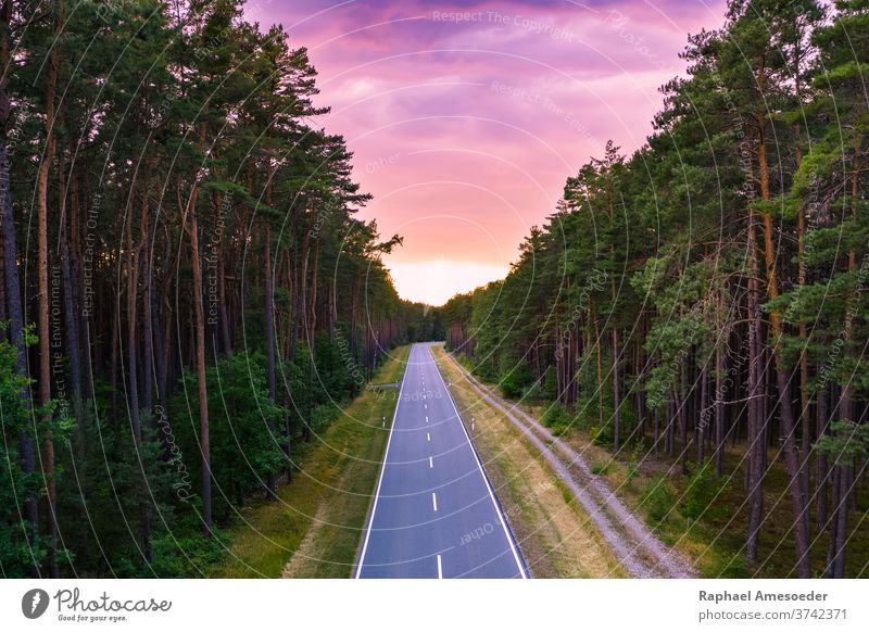 Straße durch Wald unter violettem Sonnenuntergangshimmel Himmel Fluchtpunkt purpur Bahn Natur Abend Antenne schön Schönheit Wolken Landschaft Kurve