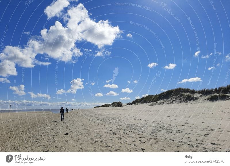 unendliche Weite - Sandstrand, Dünen und Silhuetten von Menschen unter blauem Himmel mit kleinen Wölkchen , im Hintergrund die Nordsee Strand Insel Wangerooge