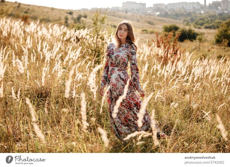 hübsche junge Frau im Kleid im Feld bei Sonnenuntergang. stilvolles romantisches Mädchen mit langen Haaren, das sich im Freien vergnügt. Sommer Schönheit Natur