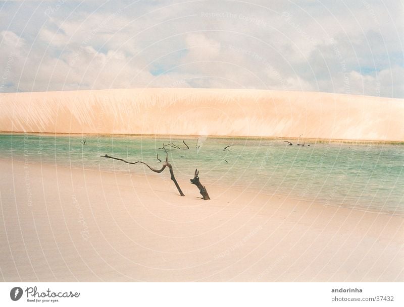 Monddüne Bettlaken Brasilien Lagune Wolken Licht Ferien & Urlaub & Reisen Stranddüne Wasser Ast Sand Wüste Einsamkeit