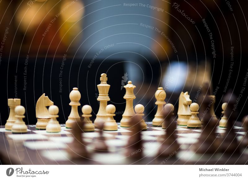 Schachbrett mit Schachfiguren und großer Tiefenschärfe Aktion Schlacht Läufer schwarz Holzplatte Business Herausforderung Konkurrenz Konzepte Konflikt