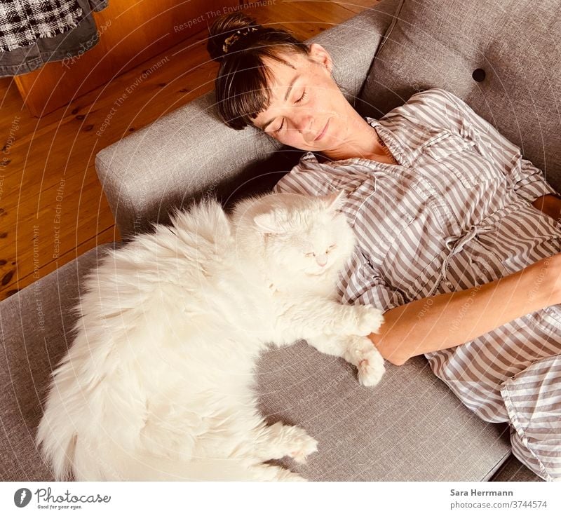 Ausruhen mit Katze schlafen Erholung Haustier ruhig Hauskatze Zufriedenheit