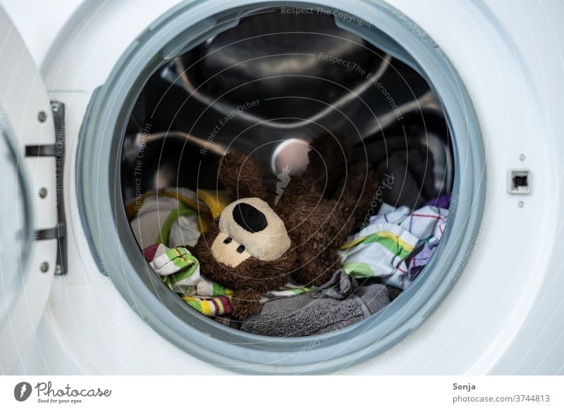 Teddybär mit Kleidung in einer Waschmaschine Wäsche waschen Schmutzwäsche Waschtag Sauberkeit Haushalt Häusliches Leben Alltagsfotografie Haushaltsführung