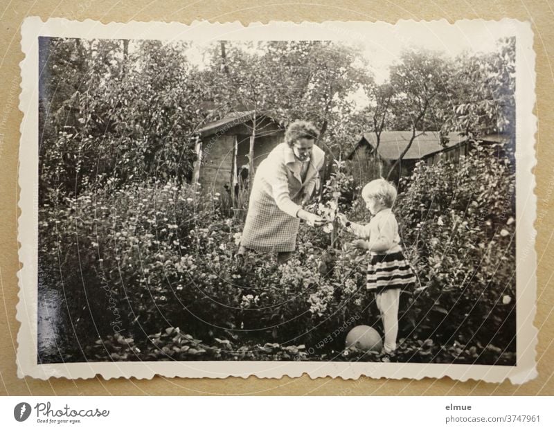 Erinnerungen an die 1960er Jahre - ein schwarz-weißer Fotoabzug mit Büttenrand liegt auf beigefarbenem Papier und zeigt ein kleines Mädchen mit seiner Mutter in einem Blumengarten mit Gartenlaube