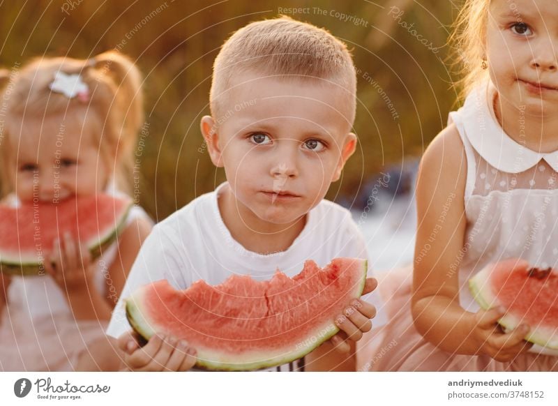 glückliche Kinder, die im Sommer bei Sonnenuntergang auf dem Feld Wassermelone essen. sommerliches Picknick. glückliche Kindheit. selektiver Fokus. Glück lässig