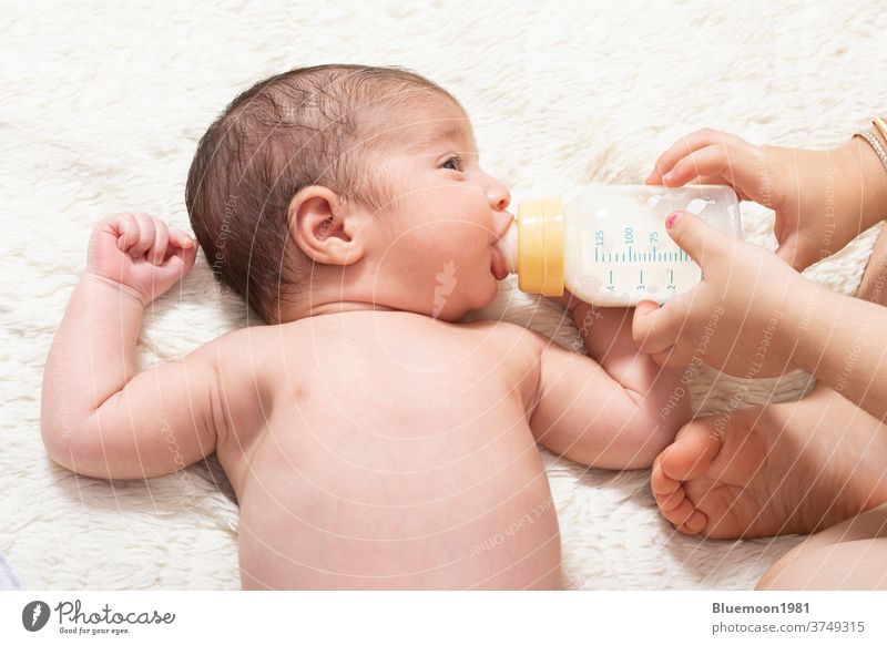 Junge Schwester füttert kleinen neugeborenen Bruder mit Milchflasche im Bett Kaukasier Gesicht füttern melken Flasche Ernährung Essen Beteiligung Mädchen Glück