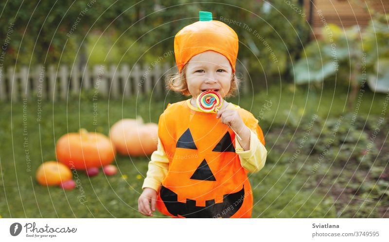 Ein süßes Mädchen in einem Kürbiskostüm hat einen bunten Lollipop auf einem Stock. Das Konzept von Halloween. Feiertag, Geschenk, Postkarte. Platz für Text