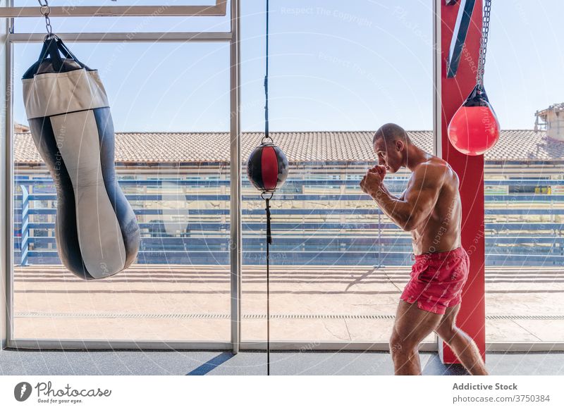 Gezieltes Sportlertraining mit Boxsack im Fitnessstudio Bowle Tasche Boxsport Boxer Mann Bestimmen Sie Kämpfer Training intensiv Handschuh männlich Athlet Kraft