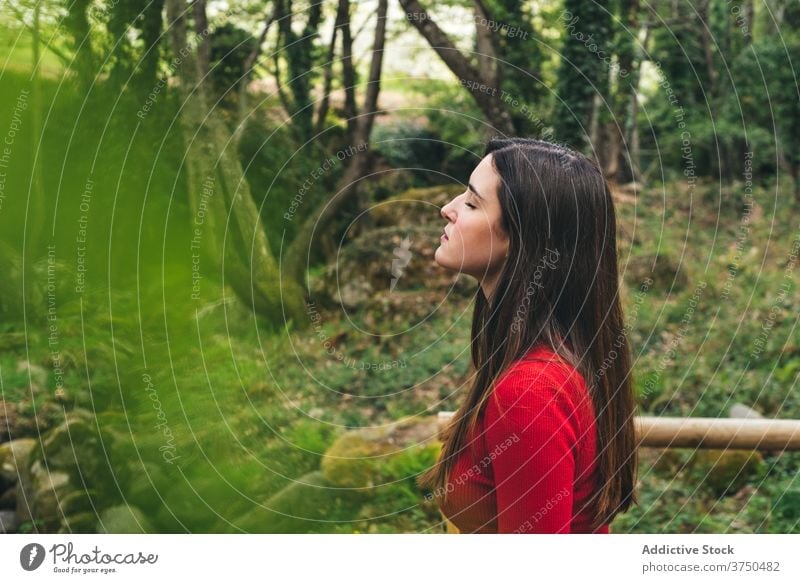 Serene Frau entspannt im grünen Wald sorgenfrei verträumt Natur frisch genießen friedlich Windstille Harmonie valle del jerte Cacere Spanien Augen geschlossen