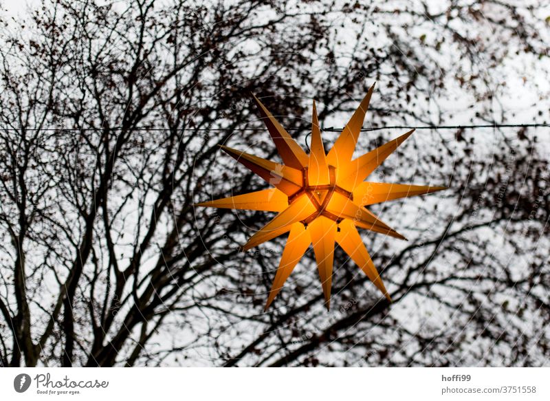 Weihnachtsbeleuchtung mit Baumfragment vor grauem Himmel Weihnachtsstern Lichterkette Weihnachtsmarkt Stern (Symbol) Spitze herrnhuter stern