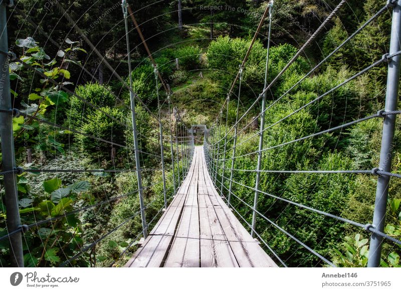 hölzerne Hängebrücke im Wald schöne Berglandschaft Landschaft grün Natur Brücke reisen Baum Park Suspension im Freien Sommer Spaziergang Weg Ansicht Wasser