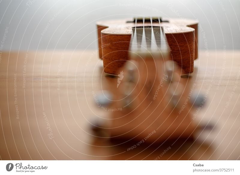 Braune Ukulele mit geringer Schärfentiefe Instrument akustisch hölzern Musical Schnur braun Holz Gitarre Musik Hintergrund Rosette hawaiianisch Objekt Kunst