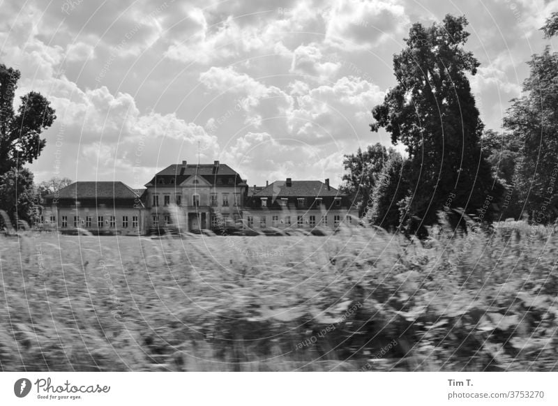 Landschloß aus dem Autofenster bei fahrt Schwarzweißfoto Architektur Landschaft land Schloss Brandenburg Gutshof Burg oder Schloss Außenaufnahme Ruine Tag alt