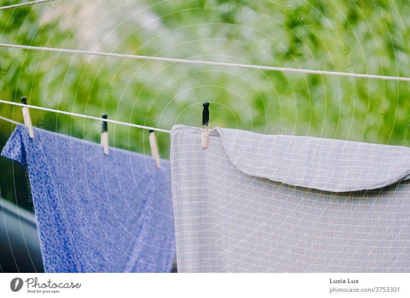 Altmodische Wäsche auf der Leine, vor lichtem Grün und im Sonnenschein Wäscheleine Wäscheklammern Sommer Sonnenlicht grün trocknen Wäsche waschen Außenaufnahme