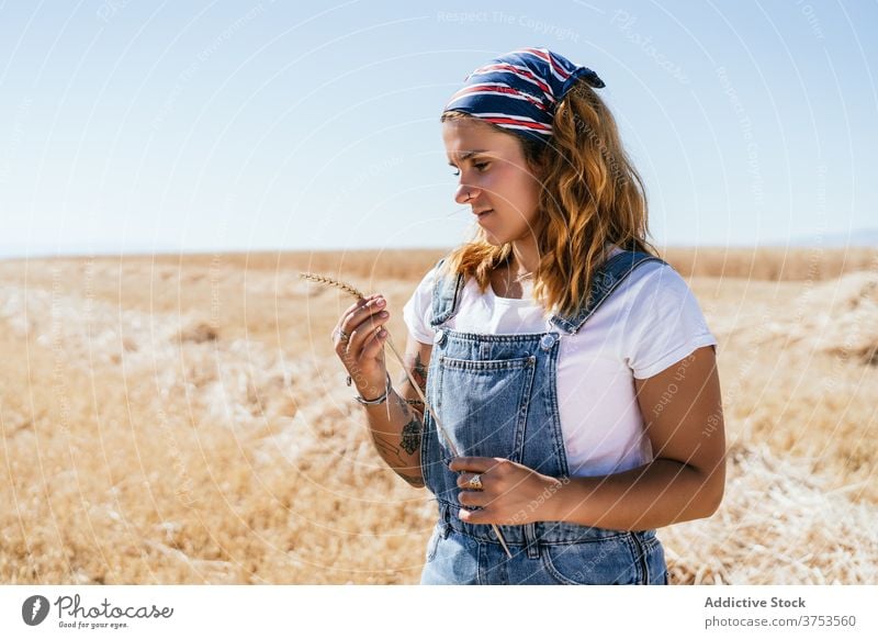 Ruhige Frau im Weizenfeld stehend Spikelet Feld Ackerbau sich[Akk] entspannen genießen Saison golden Sonnenlicht Dorf Landschaft ländlich Natur Ernte rustikal