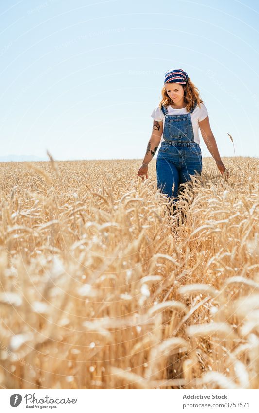 Zufriedene Frau geht entlang trockenem Feld Weizen Ackerbau genießen Sommer golden trocknen Saison sorgenfrei Landschaft ländlich Urlaub Spaziergang Natur