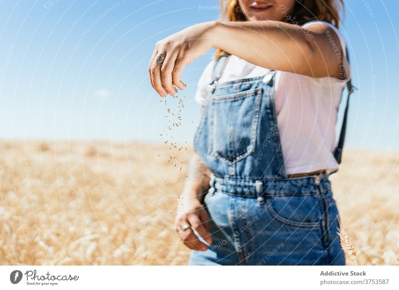 Frau mit Weizenkorn auf dem Lande Korn eingießen Feld Landwirt golden Müsli Samen Landschaft ländlich Ackerbau Ernte Bauernhof kultivieren frisch organisch