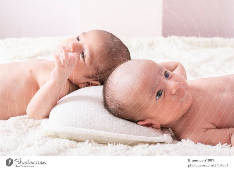 Einmonatige neugeborene Zwillingsbabys im Bett liegend Komfort niedlich Jungen freundlich sanft Gesundheit im Innenbereich Säugling Kind Gesicht bezaubernd Baby