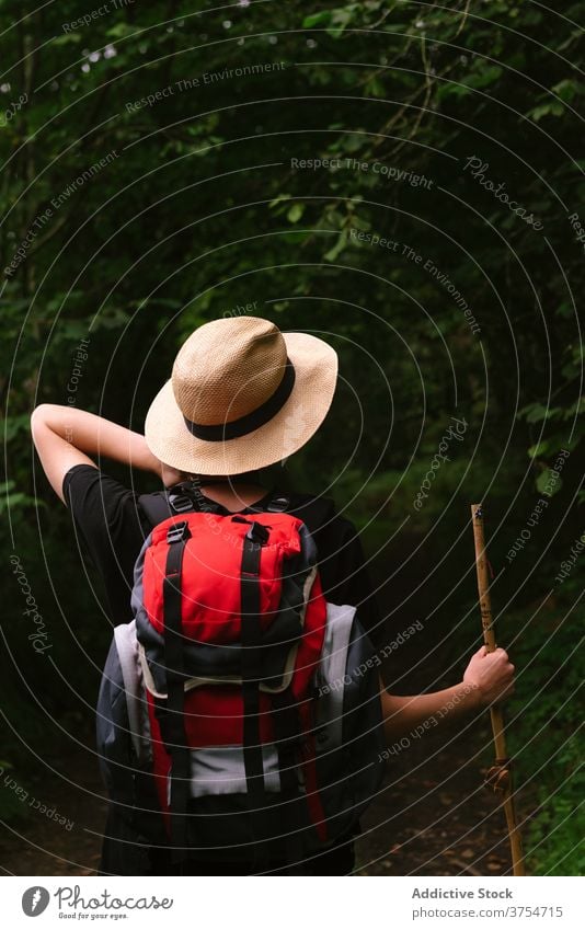 Unerkennbar reisende Frau im Wald Tourist dunkel Urlaub Sommer Nachlauf Wälder Rucksack Natur Ausflug Reisender stehen Freiheit Trekking Aktivität Fernweh