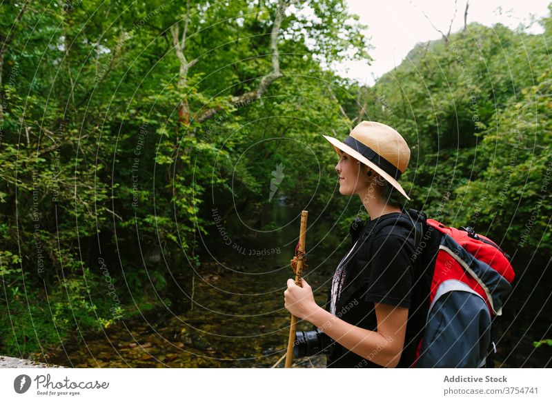 Reisender stehend auf Weg im Wald Tourist Rucksack Nachlauf reisen Wälder Natur Urlaub Abenteuer Hut Spaziergang Feiertag Sommer Aktivität Trekking Freiheit