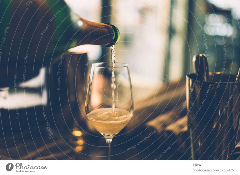 Champagner wird aus einer Flasche in ein Glas gegossen gießen einschenken Sekt Prosecco Feste & Feiern Alkohol elegant Bar Lifestyle Innenaufnahme Sektglas