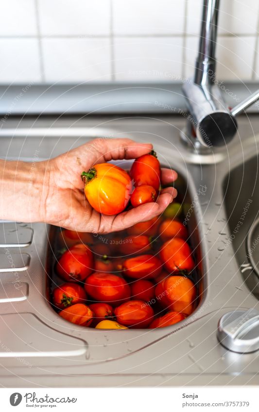 Mann wäscht rohe Tomaten in einem Spülbecken voller Wasser. Nahaufnahme. Hand Waschen Spülbecken Spüle rot Reinigen Farbfoto frisch nass teilabschnitt
