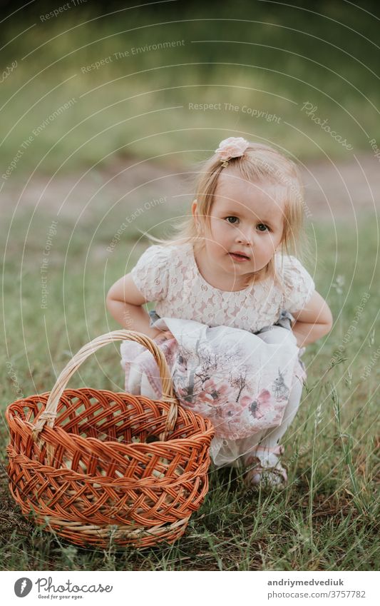 ein kleines süßes Mädchen mit einem Korb genießt einen sonnigen Tag im Park Kind Glück Baby Porträt Spielen Fröhlichkeit schön offen sorgenfrei heiter Kindheit