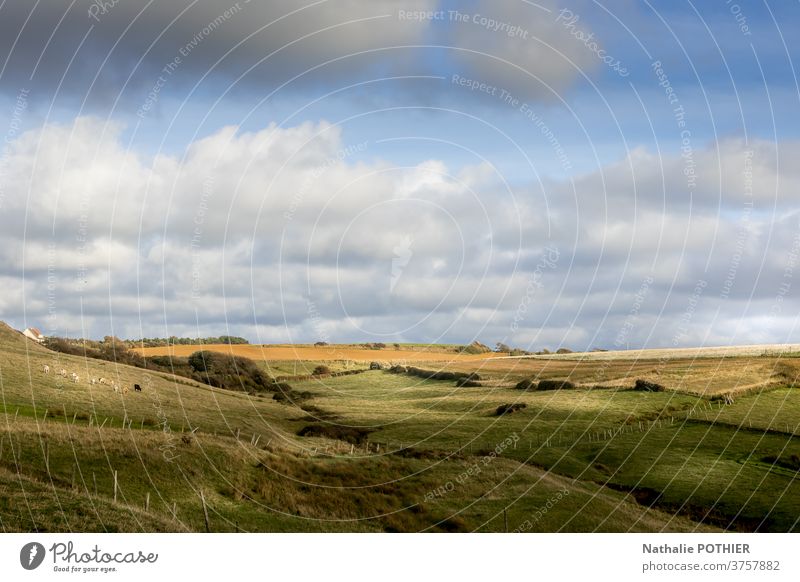 Land, Prioren und Felder an der Opalküste Weide Horizont Pas de Calais Norden ccote dopale herbr Natur Umwelt Himmel Wolken Landschaft Bauernhof rollierend