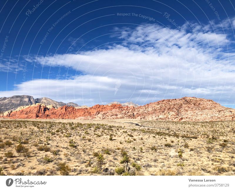 Wüstenlandschaft mit Bergen und blauem Wolkenhimmel im Red Rock Canyon wüst Landschaft Berge u. Gebirge amerika national Park malerisch USA Natur Himmel Wildnis