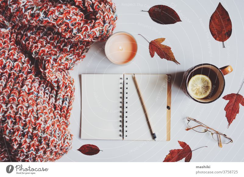 gemütliche Herbst-Stillleben-Details mit Skizzenbuch, getrockneten Blättern für das Herbarium, heißem Tee und gestrickter Decke. Hygge-Konzept, flach auf Weiß gelegt.