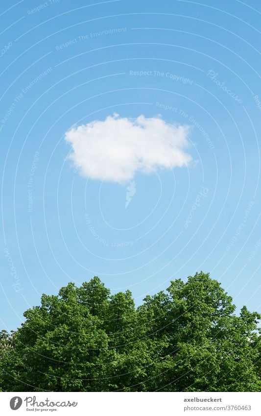 blauer Himmel mit einzelner Wolke Baum Natur Umwelt Sommer Wetter Cloud Bäume ruhig Wolken Meteorologie Ökologie Freiheit Hintergrund eine niemand Tag im Freien