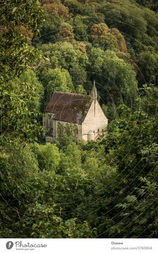 Kirche im Wald Gebäude Architektur Bäume Natur