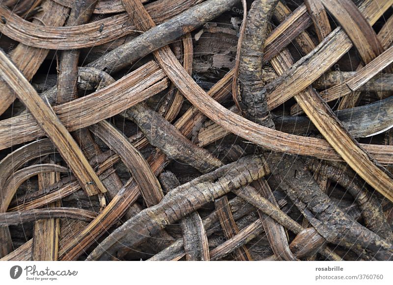back to the roots | Muster aus Wurzeln und Holz Hintergrund natürlich Natur Geflecht verschlungen verschlingen Schlinge wachsen braun Konzept konzeptionell