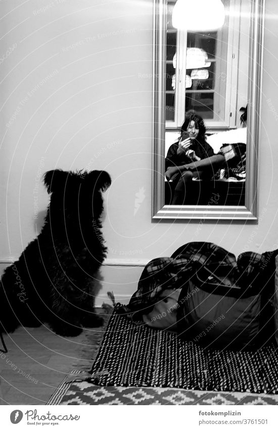 Selfie mit Hund von Frau vor Spiegel Mensch und Hund Haustier Selbstportrait dunkle Jahreszeit dunkel Stimmung Winterstimmung spiegelbild lampe hund