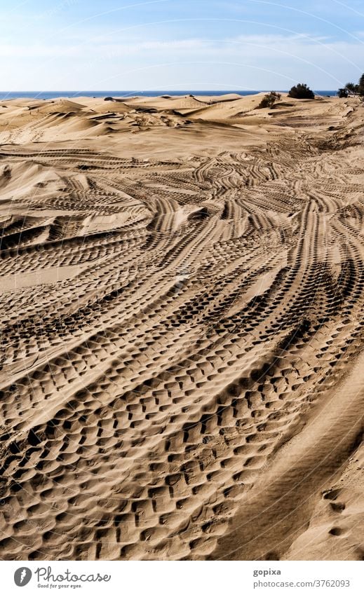 Reifenspuren im Sand der großen Düne auf Gran Canaria Umwelt Kanaren Kanarische Inseln Spanien Landschaft Natur Ferien & Urlaub & Reisen Tourismus Außenaufnahme