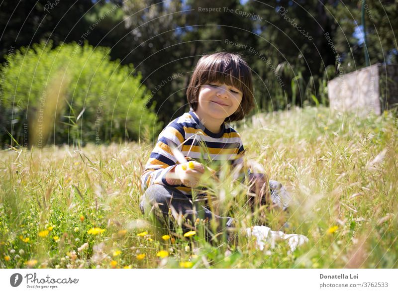 Kind auf dem Feld sitzend Junge Kaukasier Kindheit Landschaft Tag Gesicht Blume Blumen Spaß Garten Gras grün Fröhlichkeit Glück Gesundheit Beteiligung Feiertage