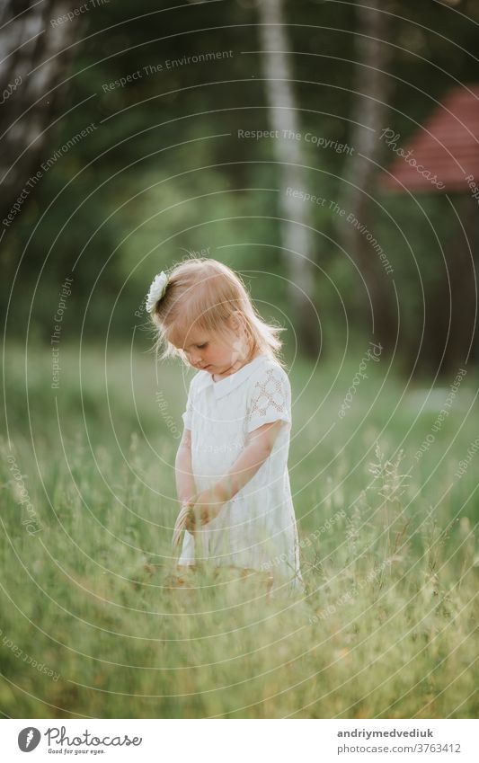 kleines süßes Mädchen mit Korb im weißen Kleid viel Spaß im Park Kind jung Sommer Fröhlichkeit Familie Anziehungskraft Sommerfest Hintergrund schön Kaukasier