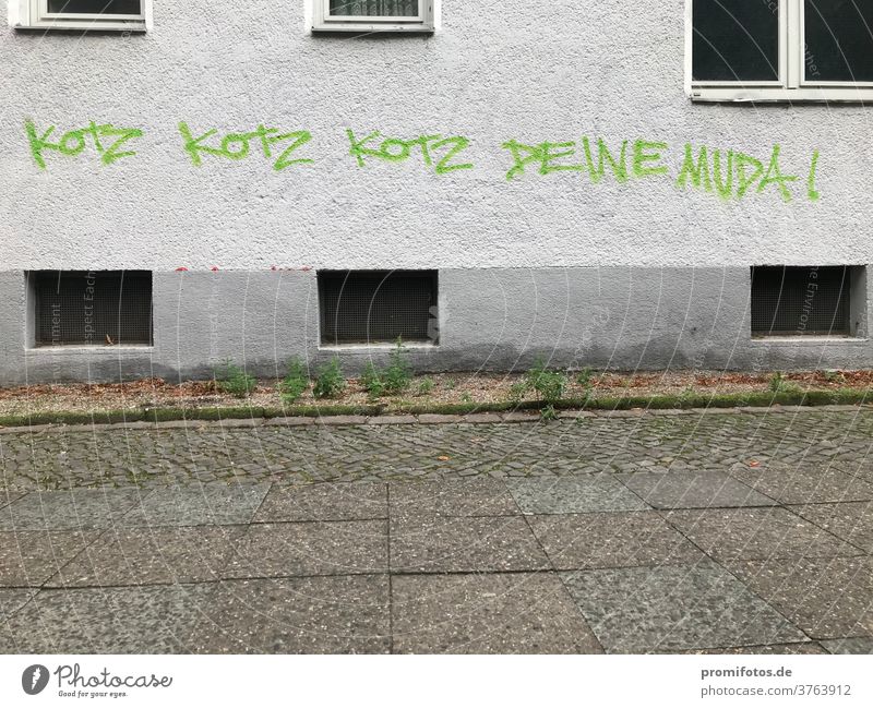 Wenn dir mitten im Streit die Argumente ausgehen... Graffiti, gesehen in Berlin: Kotz, kotz, kotz... deine Mud(d)a. Foto: Alexander Hauk diskussion mutter