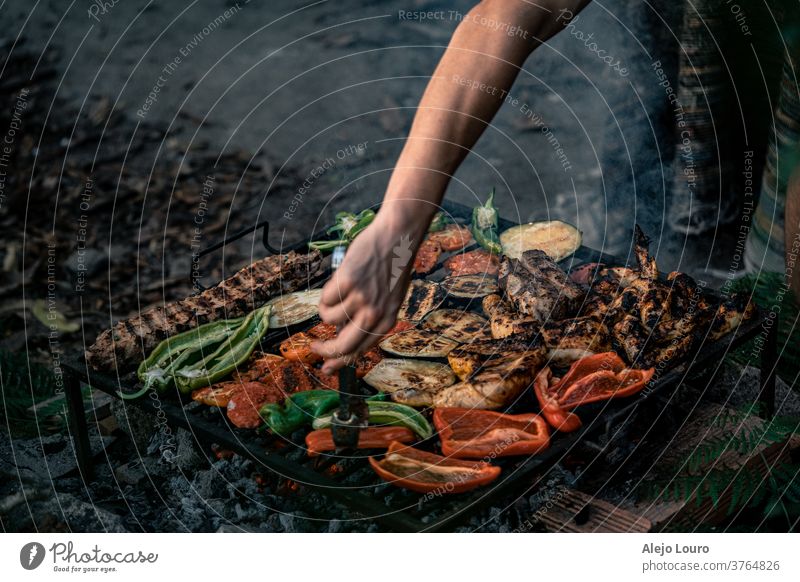 Gegrilltes Gemüse, Hühner- und Schweinefleisch in einem rustikalen Grill im Freien. farbenfroh Biografie saisonbedingt Lebensmittelgeschäft Bioprodukte Saison