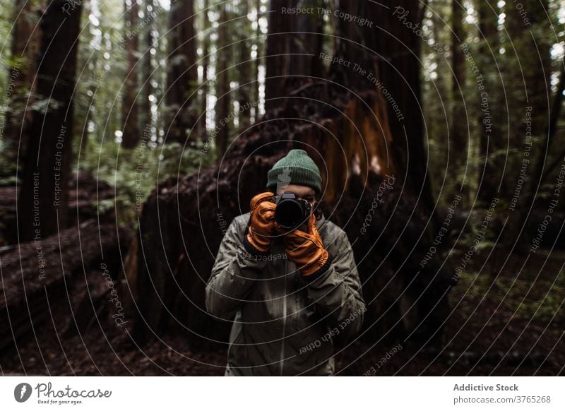 Männlicher Fotograf mit Kamera im Herbst Wald Reisender Wälder Mann Fernweh fotografieren Fotografie erkunden männlich USA Vereinigte Staaten amerika