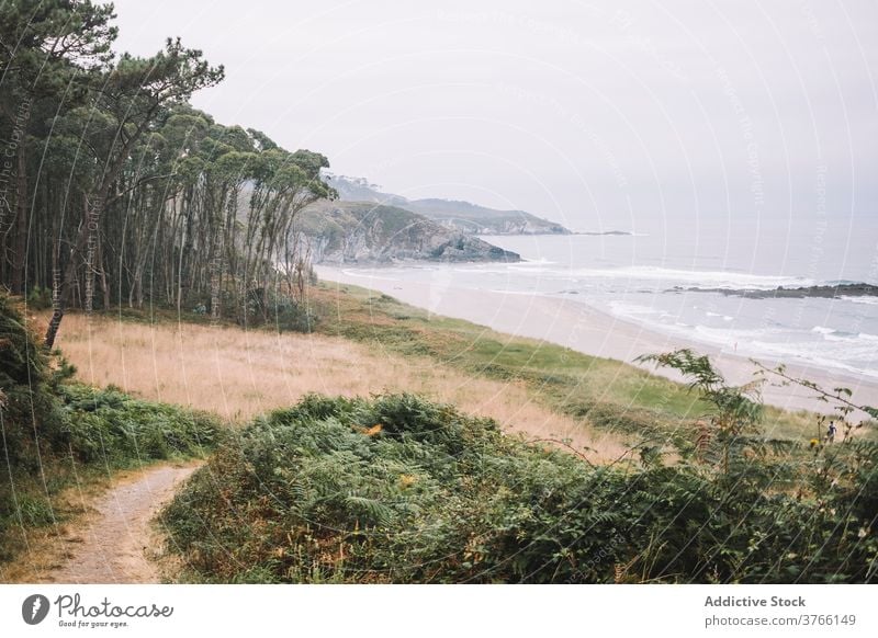 Leerer Strand mit Grünpflanzen bei stürmischem Wetter MEER Meeresufer bedeckt trist Ufer Küste winken grün Landschaft Asturien Spanien Frejulfe Strand Natur